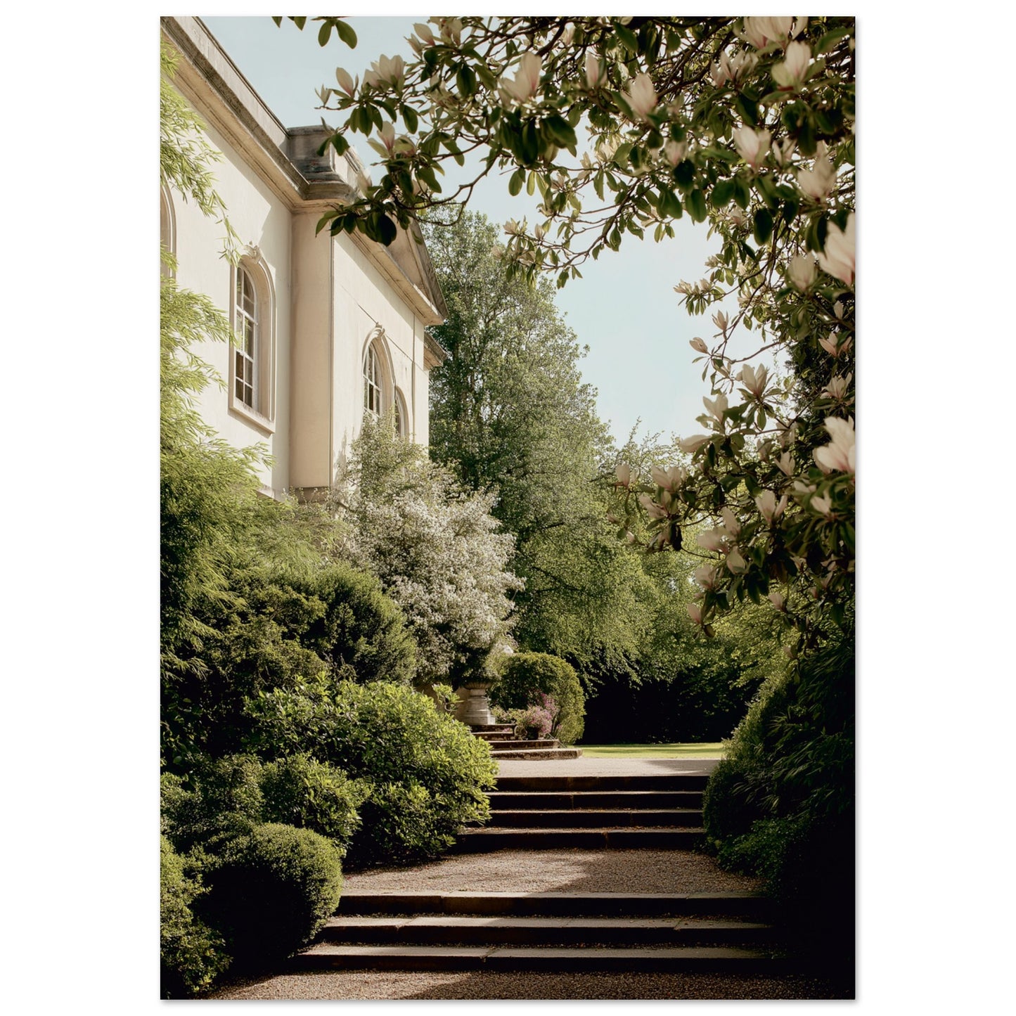 08a6b601-5c62-4e21-8d7b-74a23828c2cb