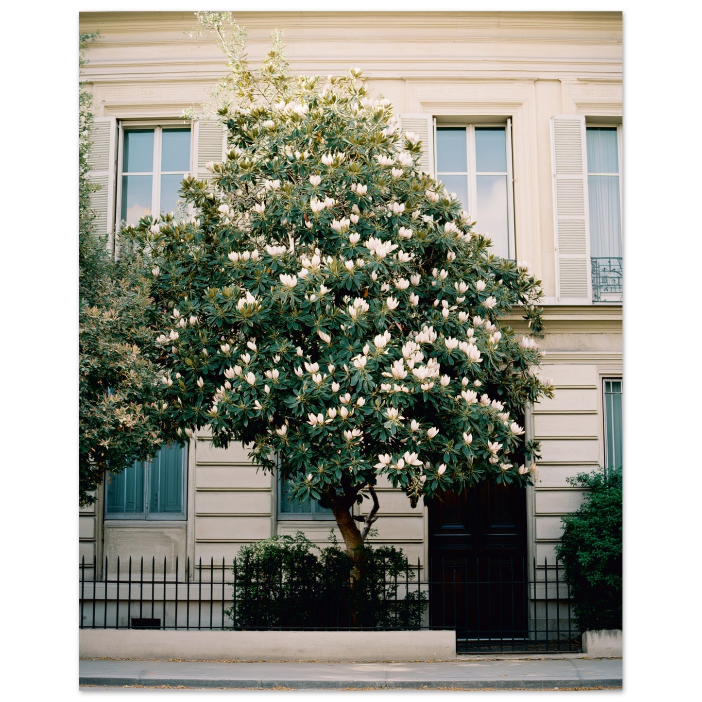 22c05127-4db8-4b83-8336-00b676f1e5c4