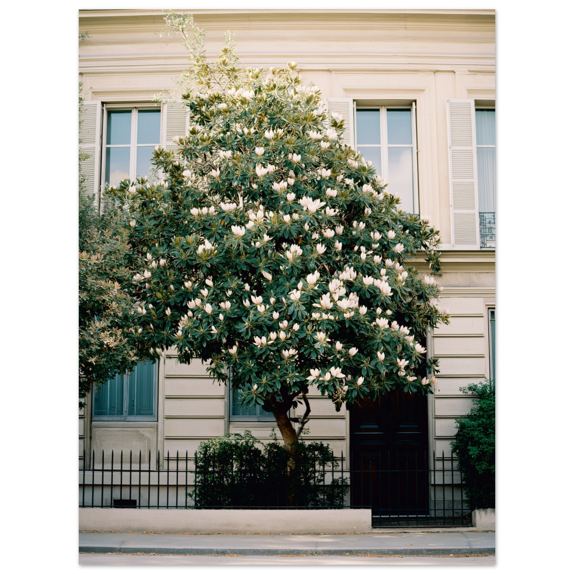 73bf5820-8dac-4a50-8f8c-135574159aad