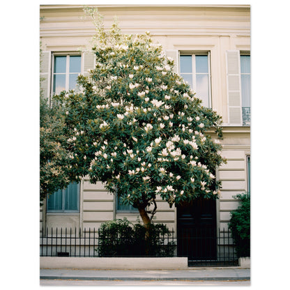 73bf5820-8dac-4a50-8f8c-135574159aad