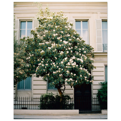 9057bd13-be70-4152-8d19-a43718ba453c