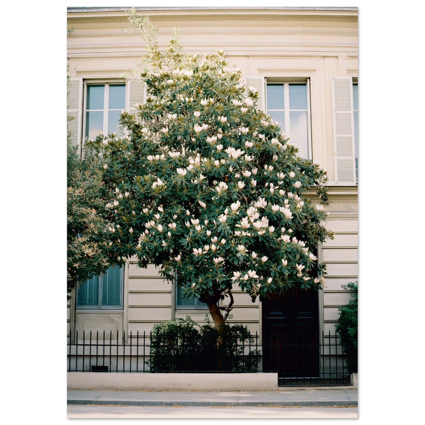 a28d43ae-7ae6-4aa7-b3ef-787843af8647