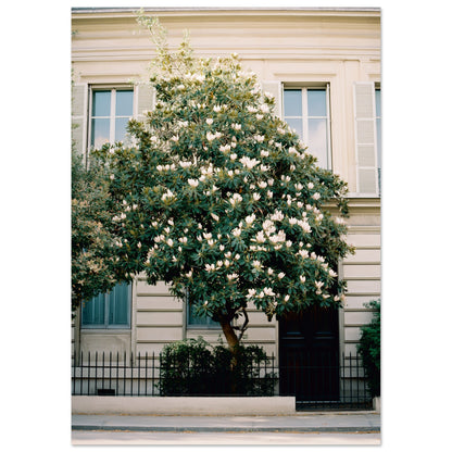 a28d43ae-7ae6-4aa7-b3ef-787843af8647