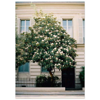 af343120-988b-4aef-9ece-295860a0f87a