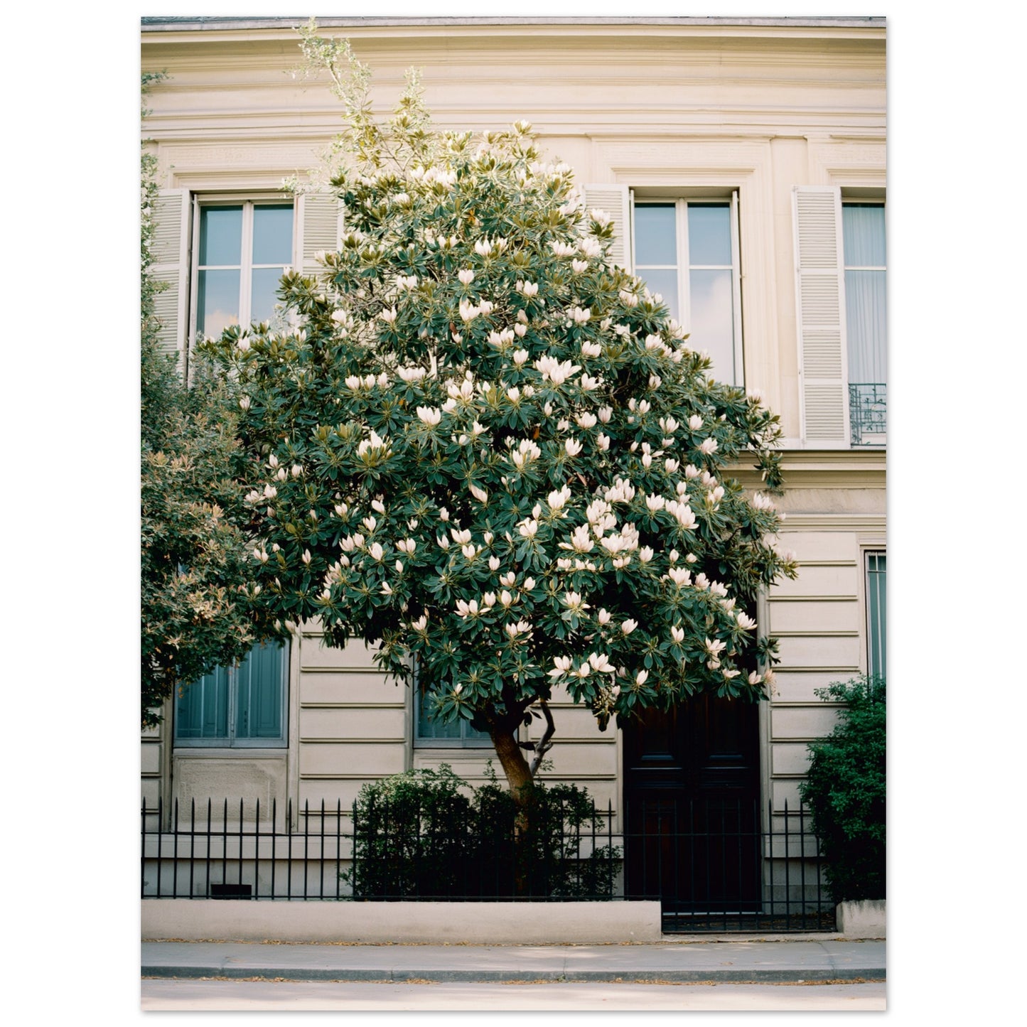 de167cdf-0135-422f-a120-5612865056e2